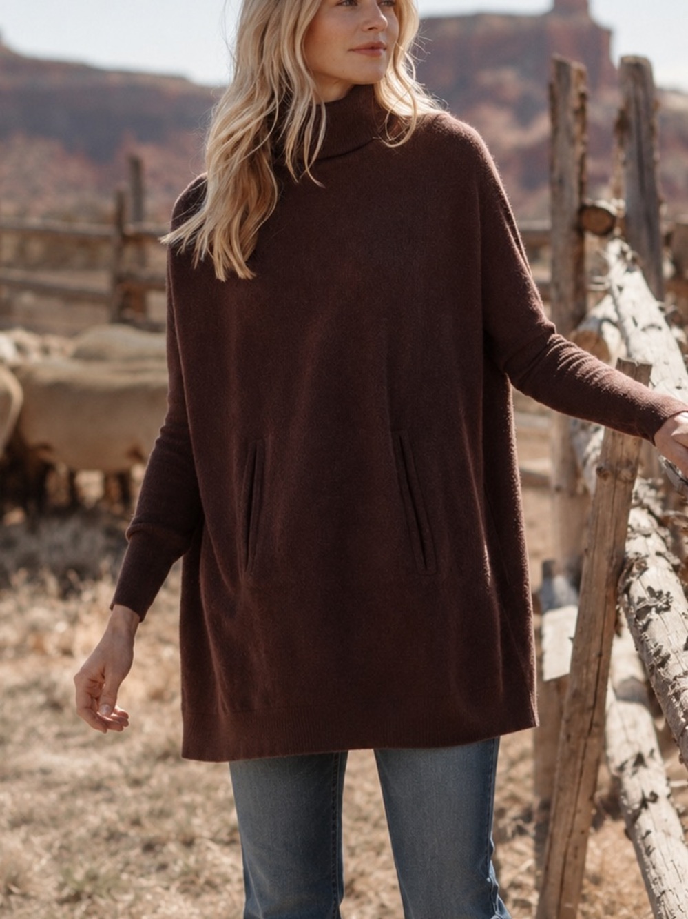 Garnet Hill Iconic Cashmere Wool Turtleneck Tunic Sweater Chocolate Brown S